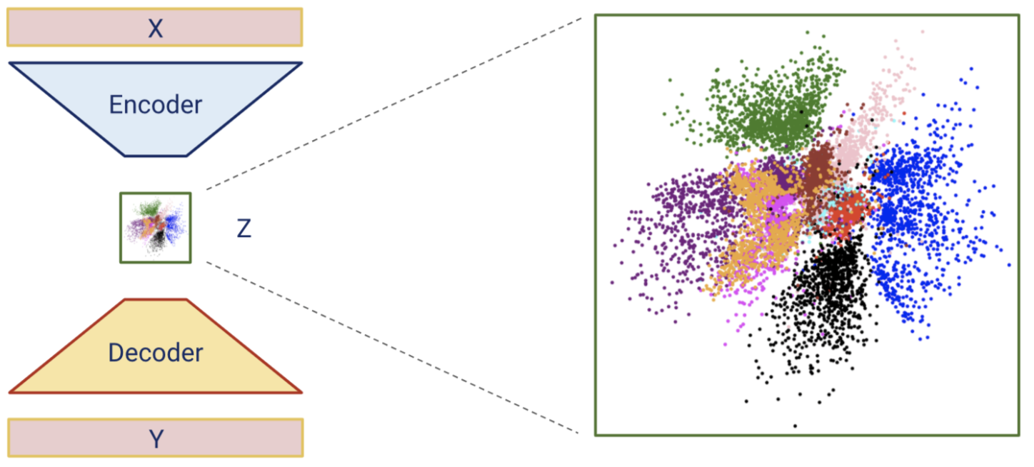 autoencoder